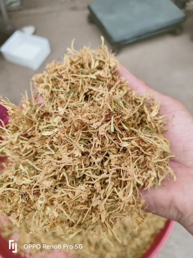 金银花品质好味道清香支持视频看货选货欢迎来电洽谈