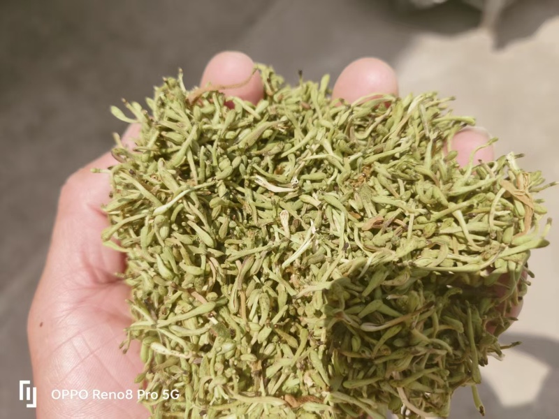 金银花品质好味道清香支持视频看货选货欢迎来电洽谈