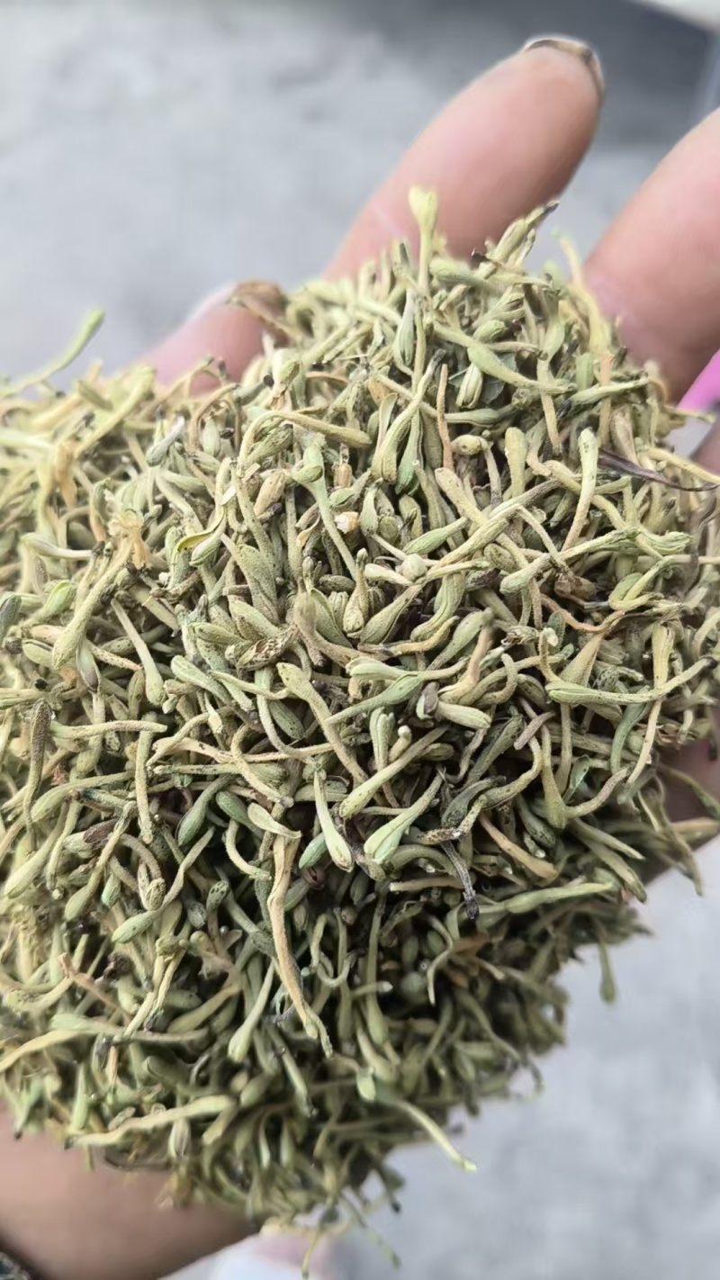 金银花品质好味道清香支持视频看货选货欢迎来电洽谈