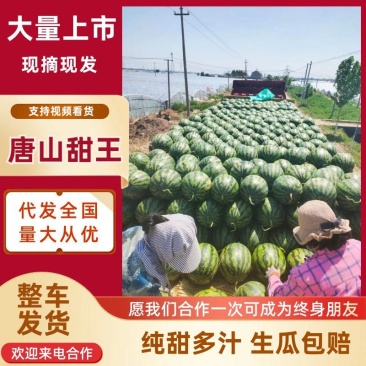 河北滦南甜王西瓜大量供应，一手货源，可对接电商商超等