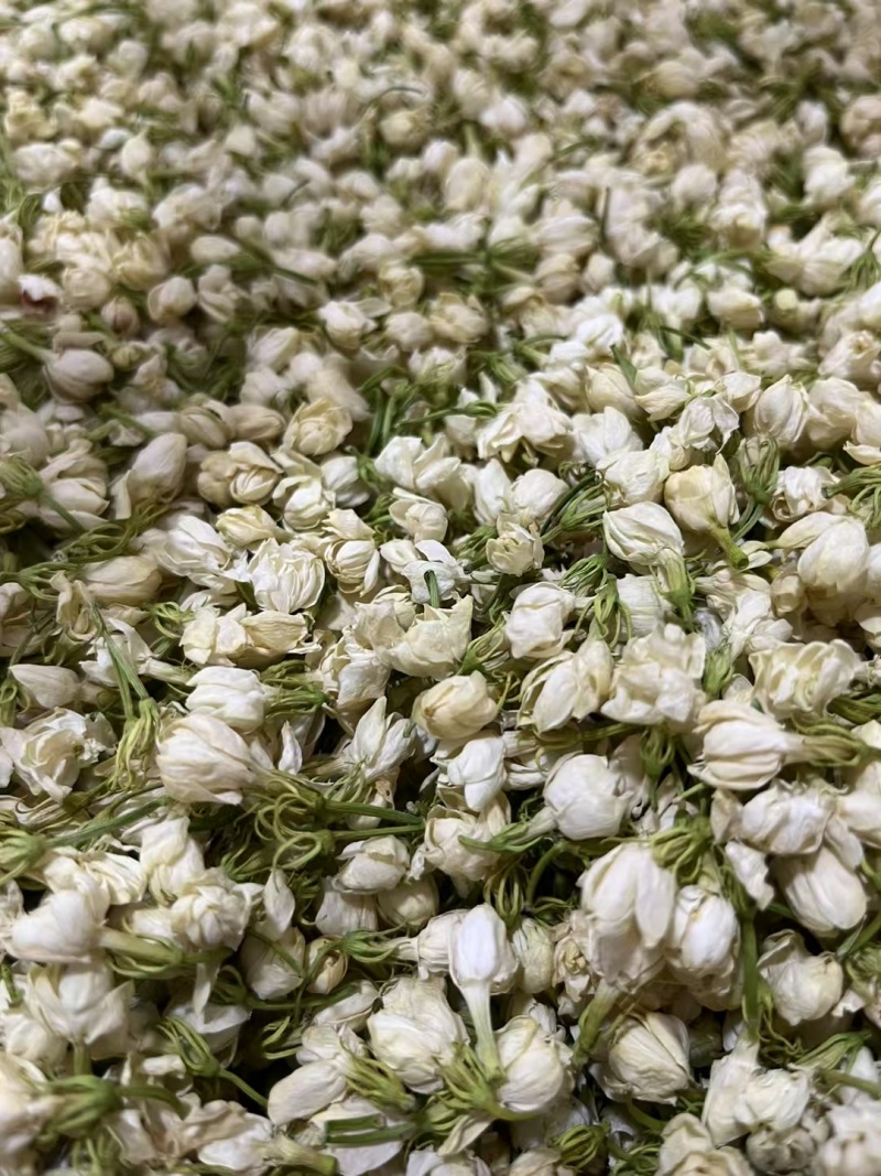 干茉莉花新货包邮无硫茉莉花茶茉莉干花常年批发零售