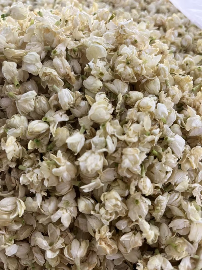 干茉莉花新货包邮无硫茉莉花茶茉莉干花常年批发零售