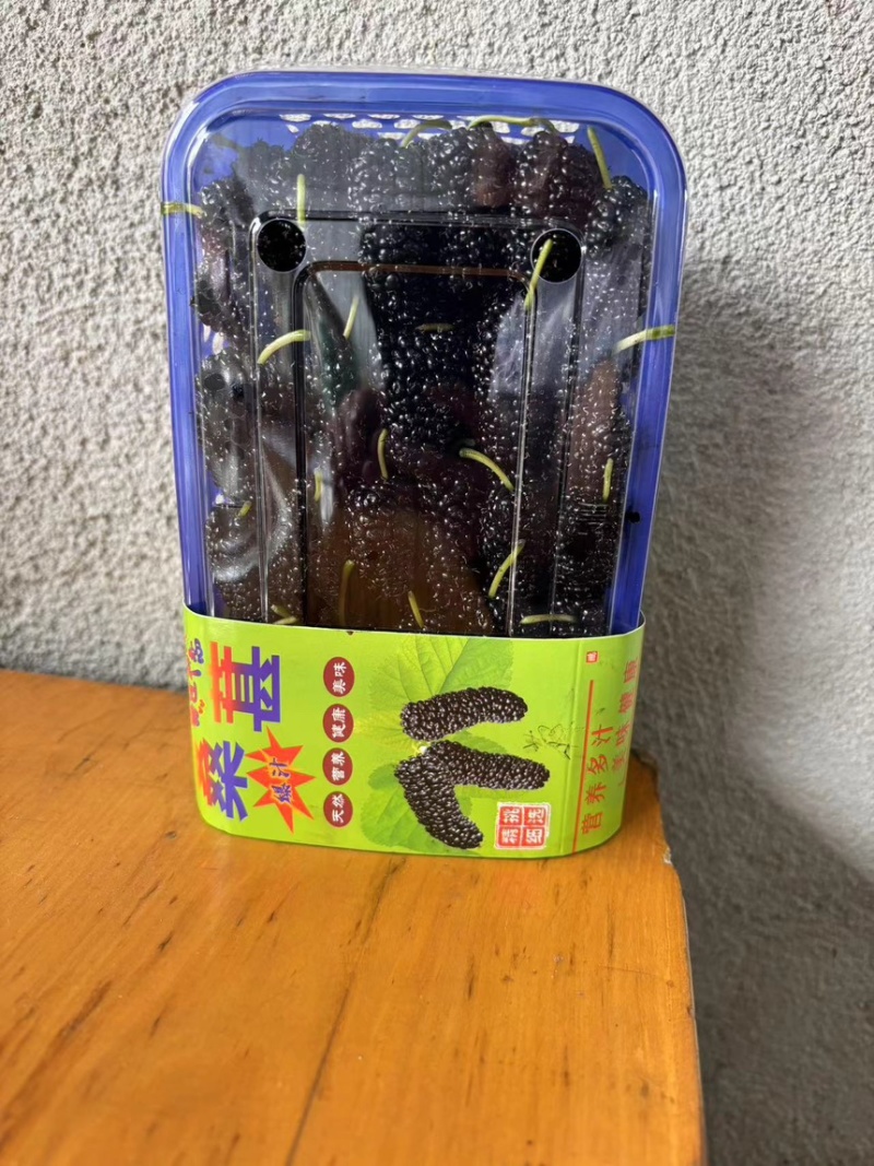 新鲜桑葚桑椹适合加工速冻提取做馅料