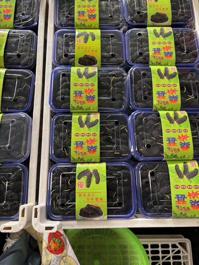 新鲜桑葚桑椹适合加工速冻提取做馅料