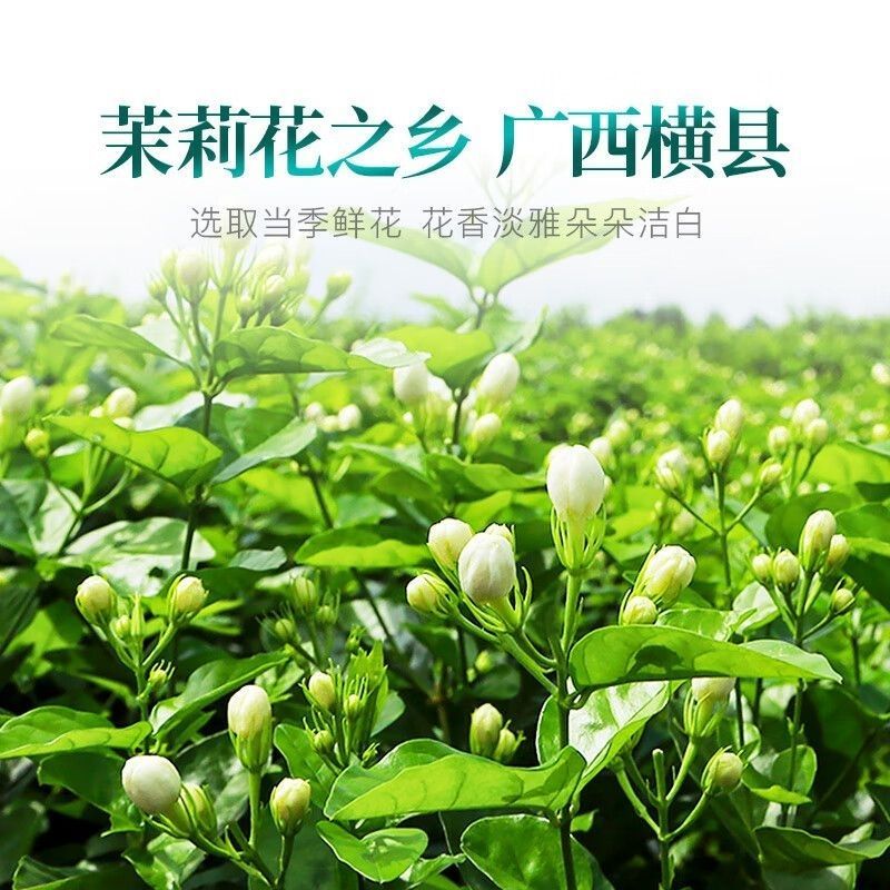 茉莉花干/横州市精品茉莉花无硫烘干/25年货/精品花干