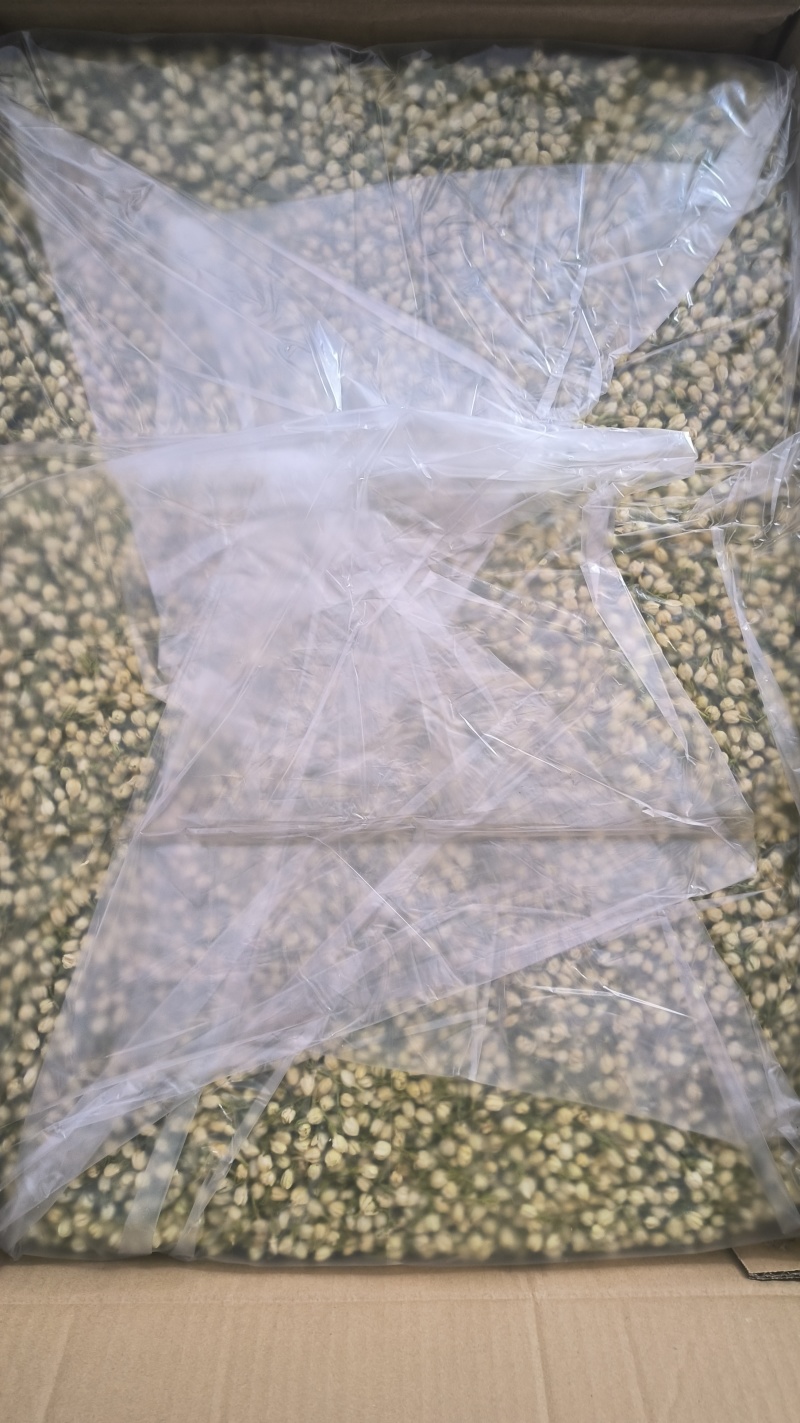 茉莉花干/横州市精品茉莉花无硫烘干/25年货/精品花干