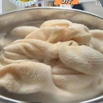 内蒙古鲜牛肚，精修，去油，牧场直供