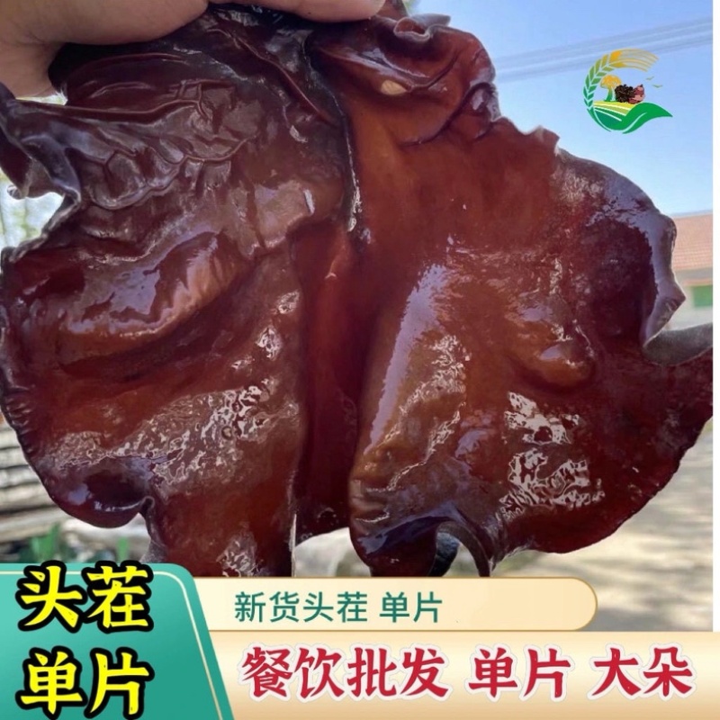 毛木耳干货头茬白背毛木耳火锅食材
