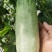 羊角蜜