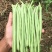 【优质推荐】四季豆架豆大量上市产地直发保质保量欢迎咨