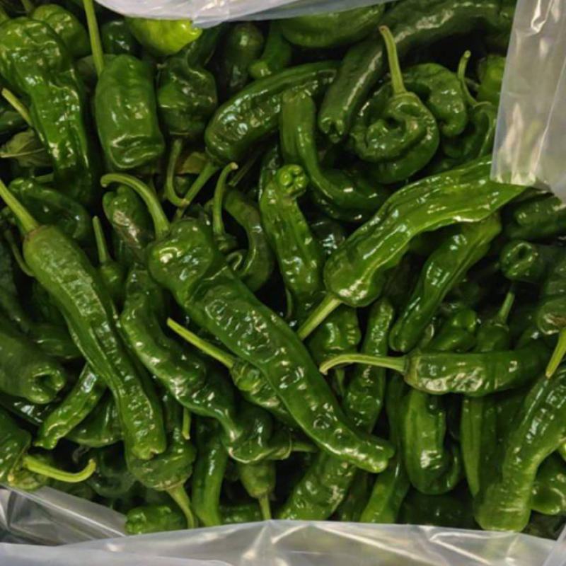 【牛商推荐】精品小皱皮辣椒/新品上市/对接商超批发市场