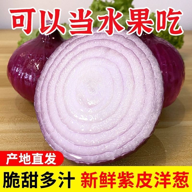 《紫皮洋葱》陕西基地直发保质保量以质论价量大从优