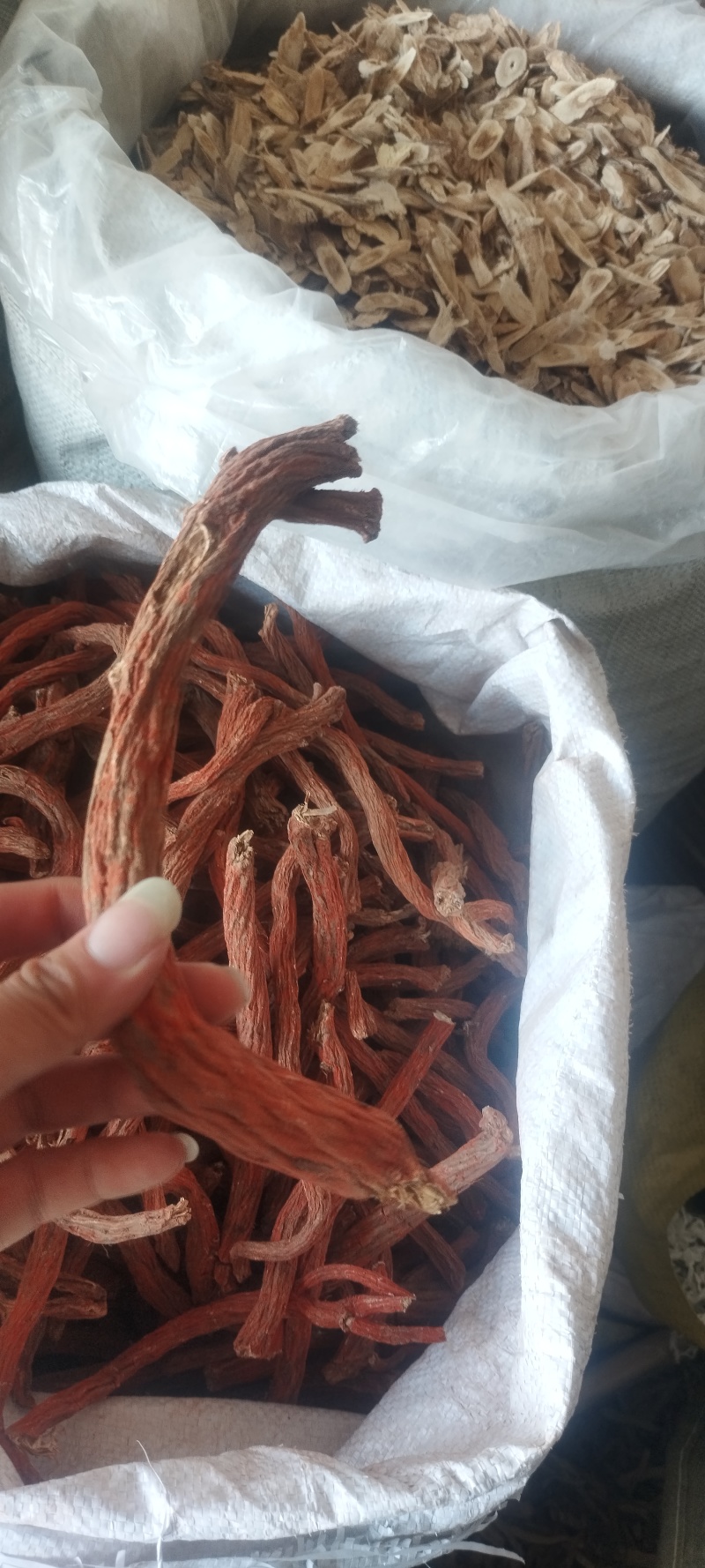 全国供应丹参厂家直销质量有保障欢迎电话咨询了解更多