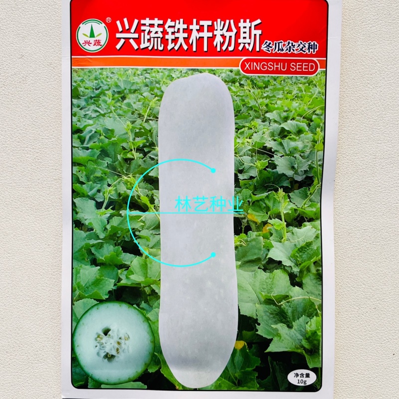 兴蔬铁杆粉斯粉皮大冬瓜种子杂交特长腔小肉厚白皮东瓜籽
