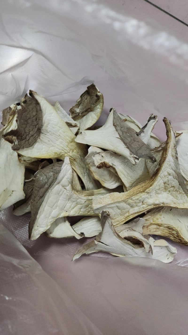 灵芝菇，干品，干灵芝菇，灵芝仙菇干品