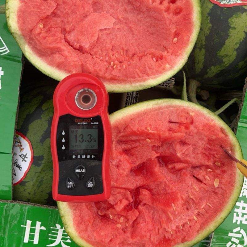 随时有货西瓜欢迎电话咨询