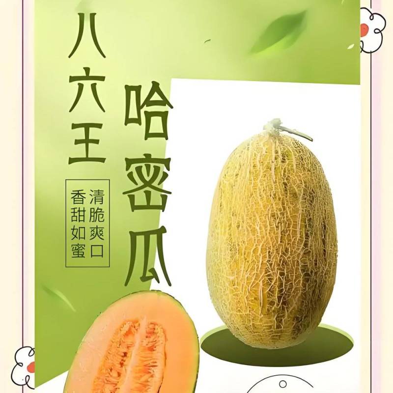 【香甜如蜜】哈密瓜八六王产地直供品质保障诚信经营