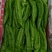 （精品）牛角椒大量有货现摘现发新鲜品质优可视频看货