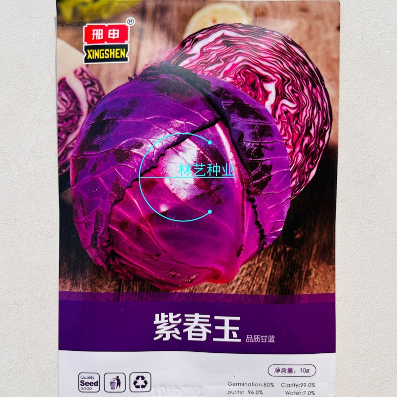紫春玉甘蓝高产紫甘蓝种子早熟甜脆耐裂包菜春秋季卷心菜