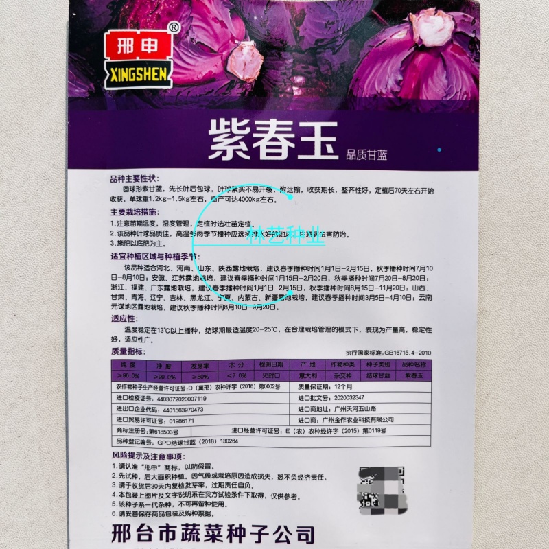 紫春玉甘蓝高产紫甘蓝种子早熟甜脆耐裂包菜春秋季卷心菜