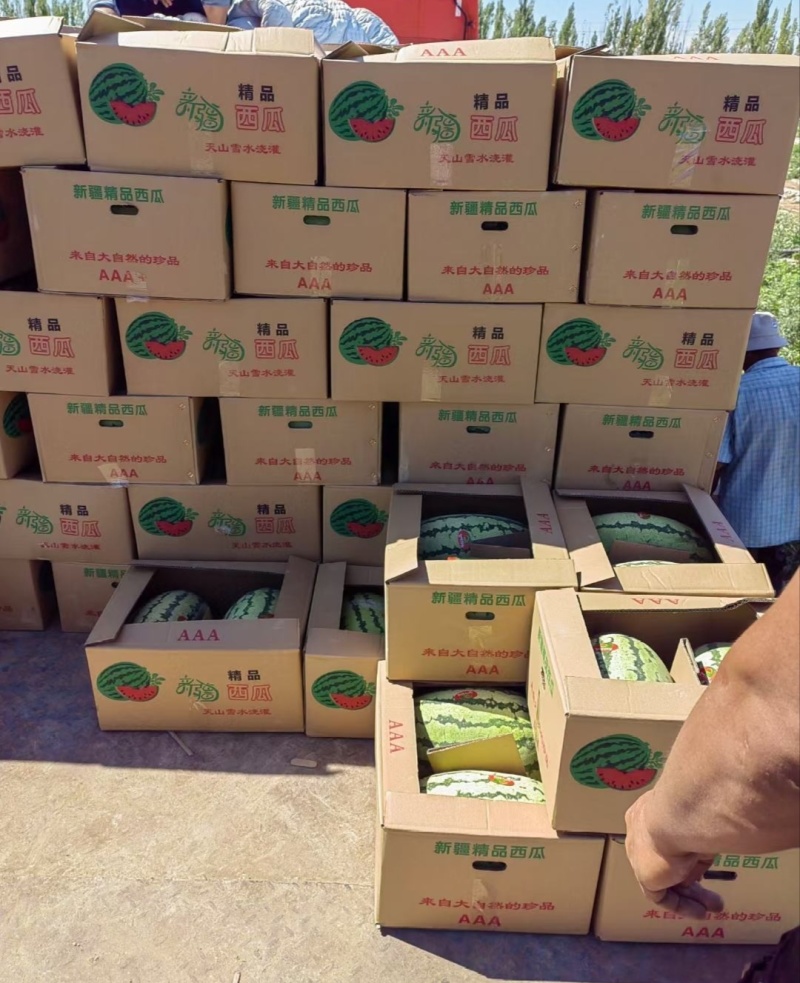 【实力】新疆西瓜硒砂瓜代办包熟包甜耐运输量大从优