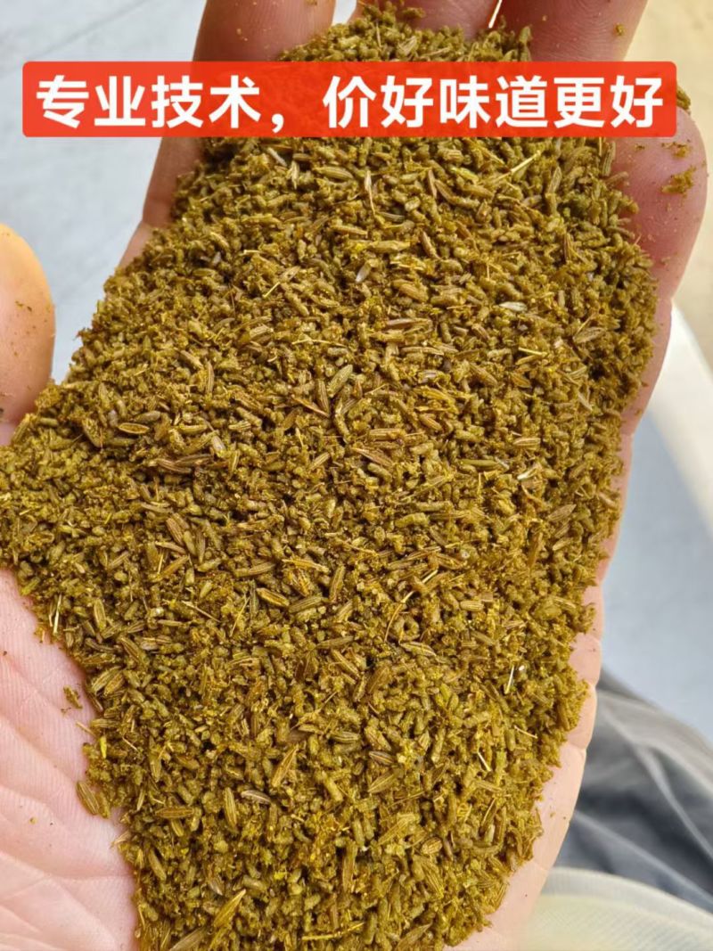 正宗新疆孜然碎产地厂家味道浓郁孜然粉孜然粒新疆孜然颗粒