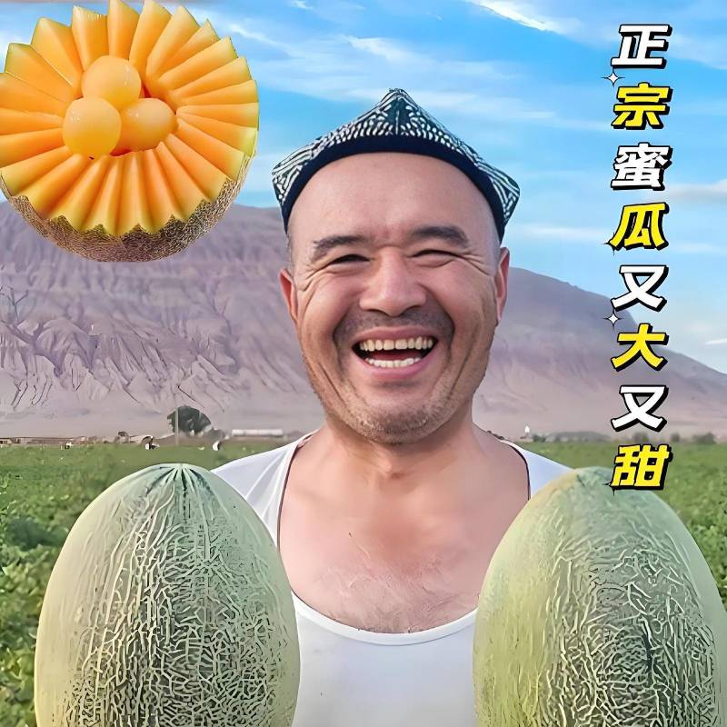 【新疆金色年华】红金蜜哈密瓜大量供应欢迎来电洽谈