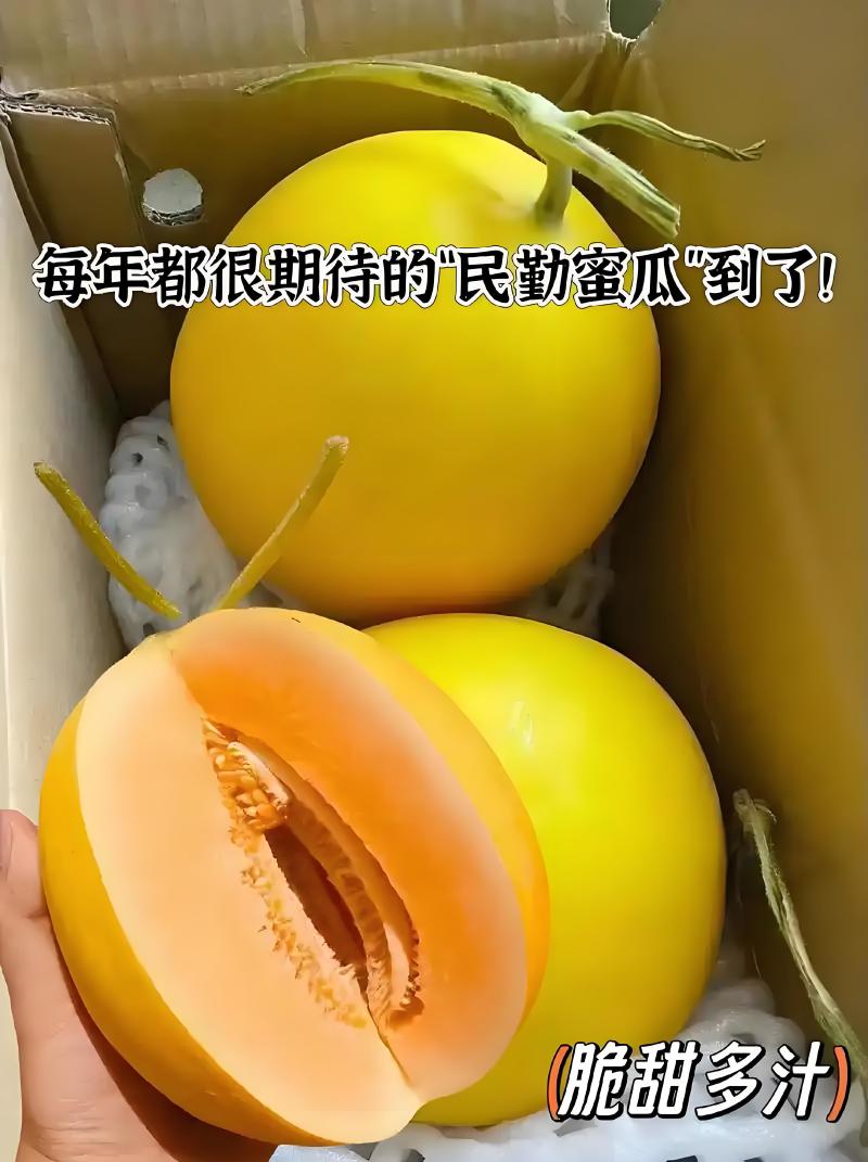 【新疆金色年华】红金蜜哈密瓜大量供应欢迎来电洽谈