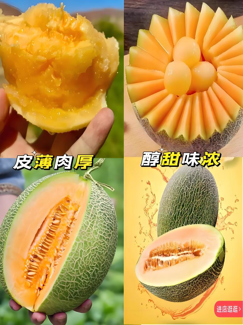 【新疆金色年华】红金蜜哈密瓜大量供应欢迎来电洽谈