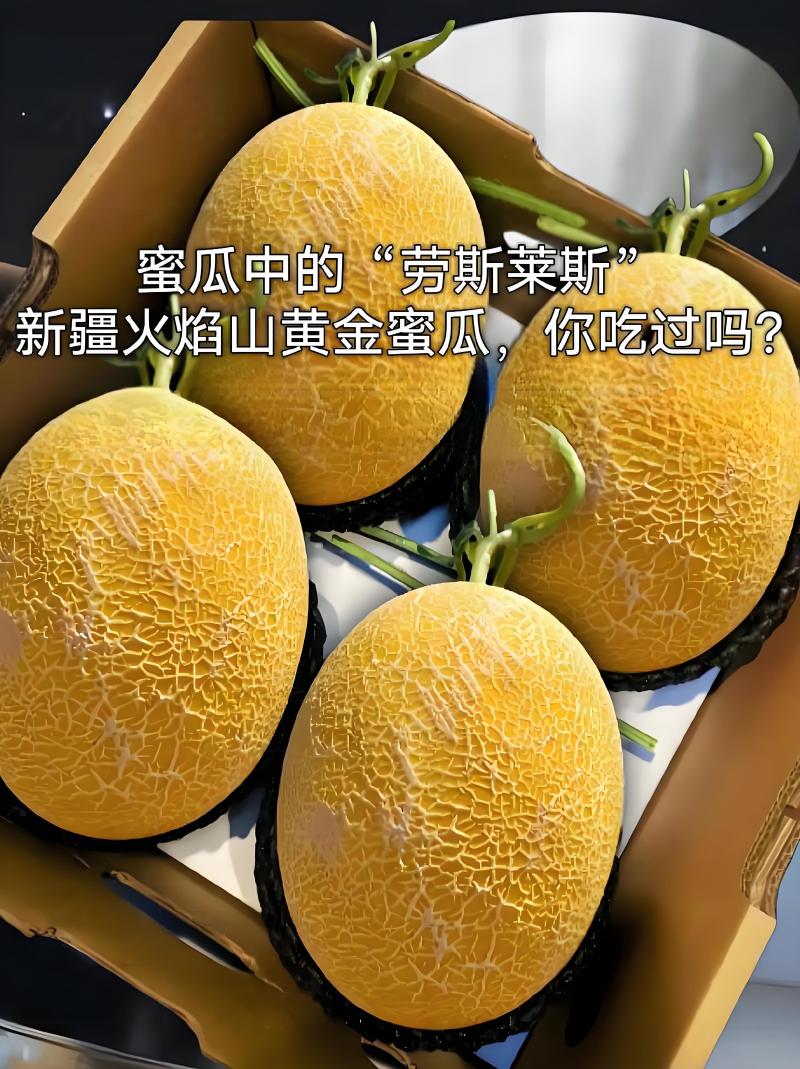 【新疆金色年华】红金蜜哈密瓜大量供应欢迎来电洽谈