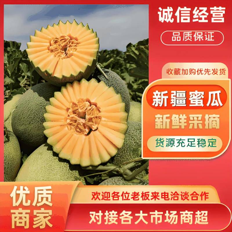 【核心产区】新疆西州蜜瓜17号/25号品质保障诚信经营