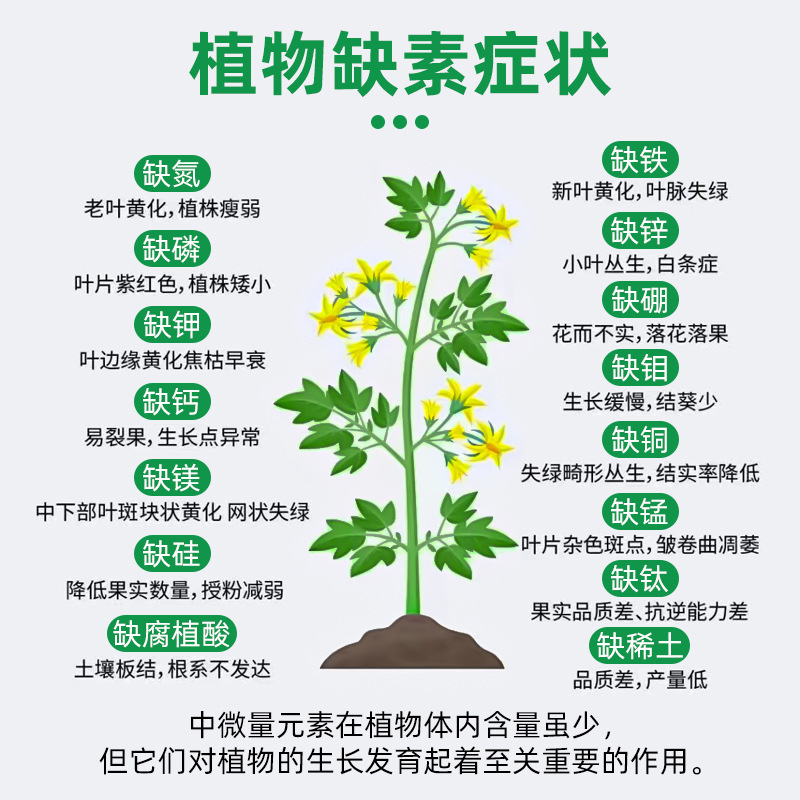 农盛大元素冲必丰膨果高钾型