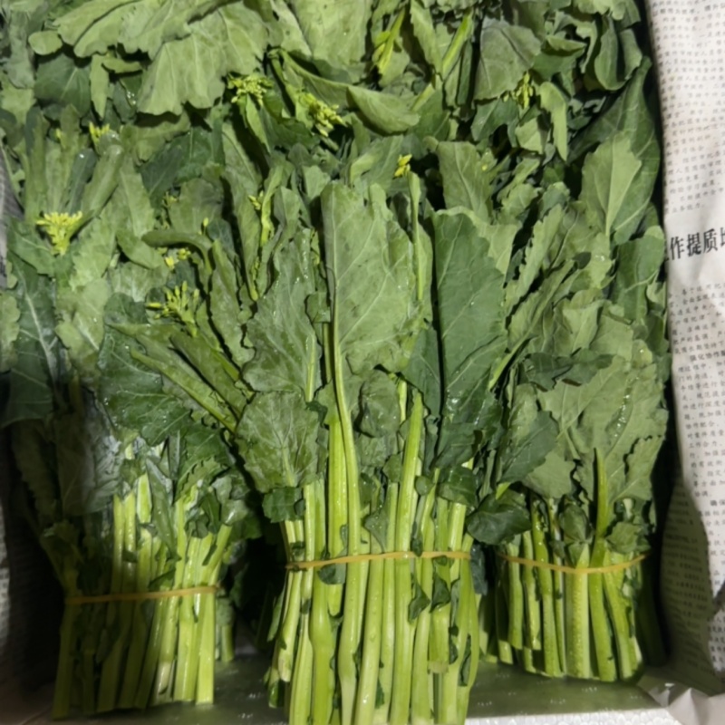 板蓝根青菜