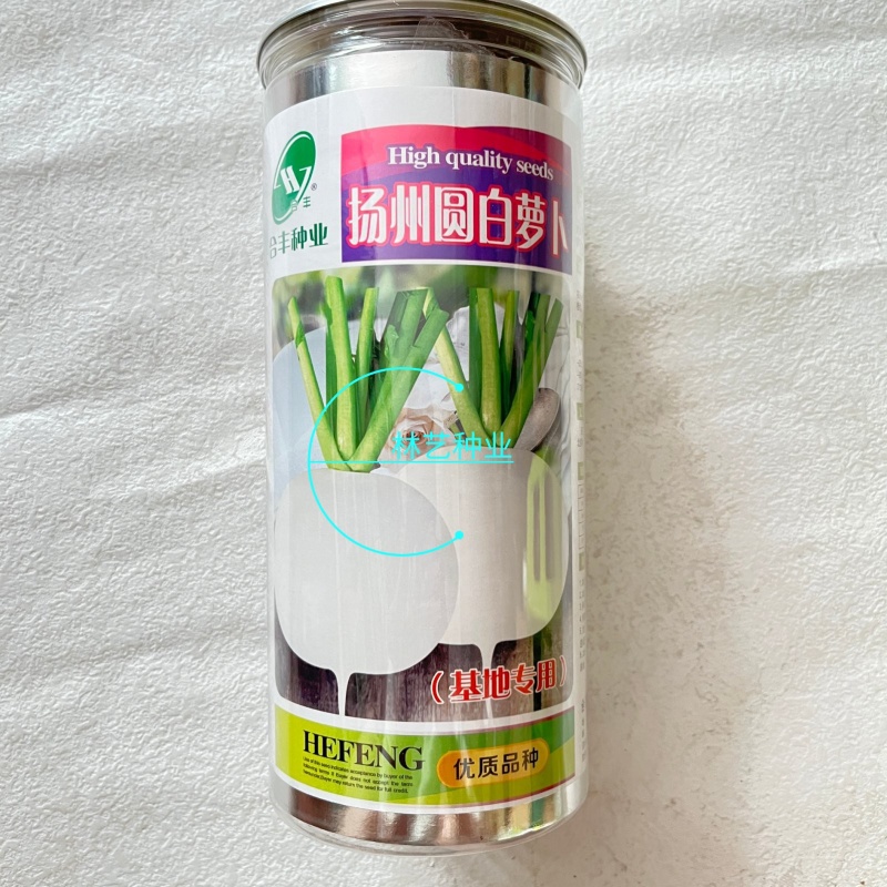 扬州圆白萝卜萝卜种子白萝卜种籽薄皮脆嫩微甜秋季萝卜籽