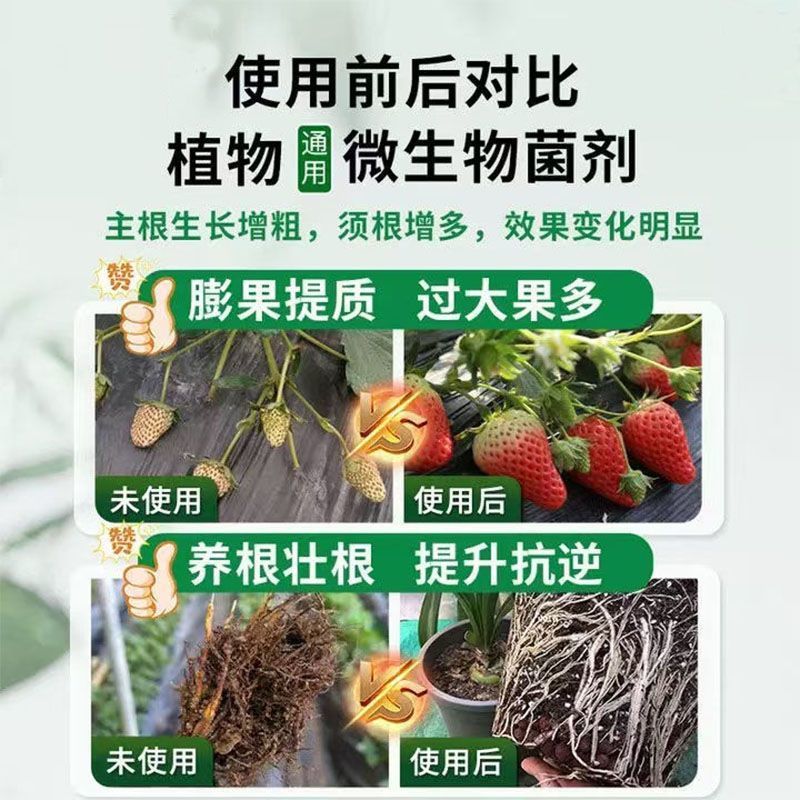 农盛豆磷脂补充氮磷钾10亿有效活菌防板结抗重茬分解快吸收