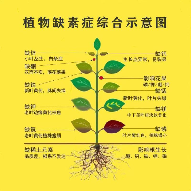 纯硫基花生专用特别添加2亿有效活菌菌增产高效
