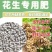 纯硫基花生专用特别添加2亿有效活菌菌增产高效