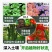 矿源黄腐酸钾复合肥15-15-15果蔬通用型