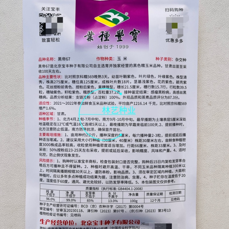 黑帝67黑玉米种子高产抗病大田基地杂交品种黑甜糯黑色玉米