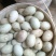 新鲜土鸭蛋，腌好的咸蛋皮蛋，无抗无激素，健康营养美味，农