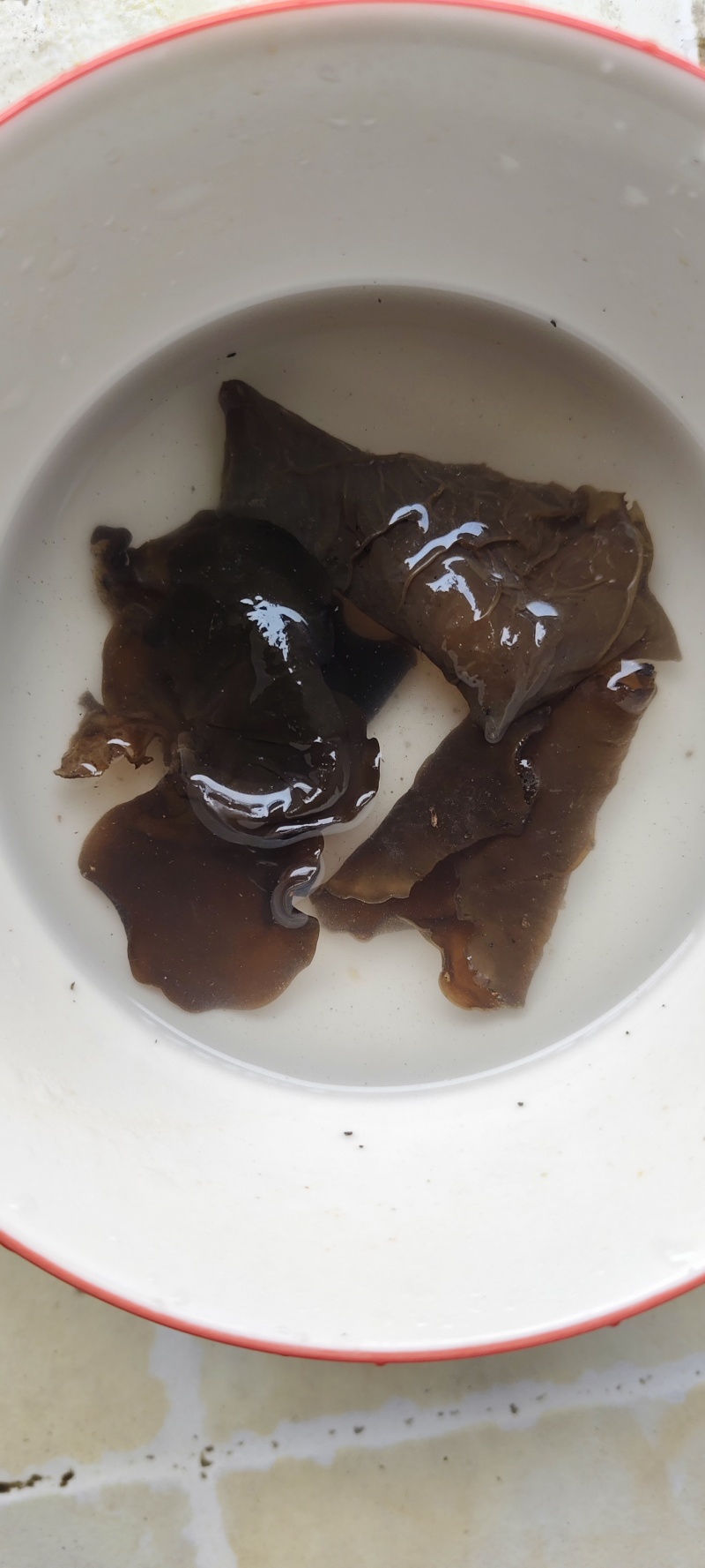 木耳黑木耳白背木耳贵州下山货