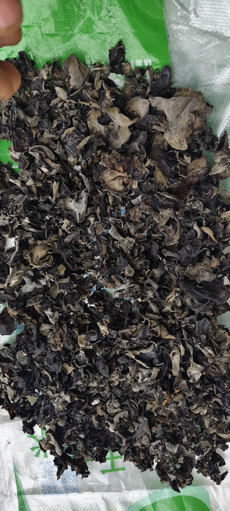 木耳黑木耳白背木耳贵州下山货