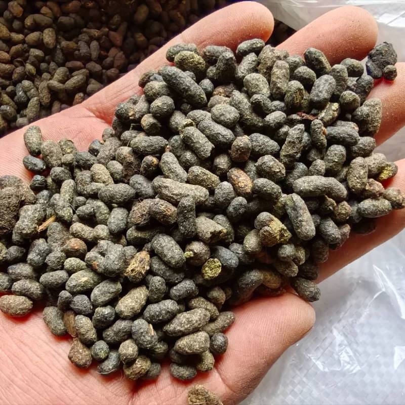 陕西五灵脂，自己家的货，现货2吨，后面全年可以供货，批发