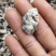 贵州白参菌小白参菌深山自然生长下山货精