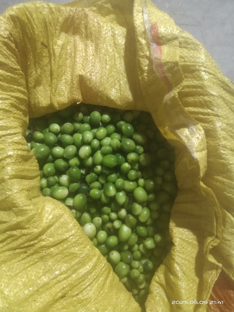 大量现货，对接工厂，代收