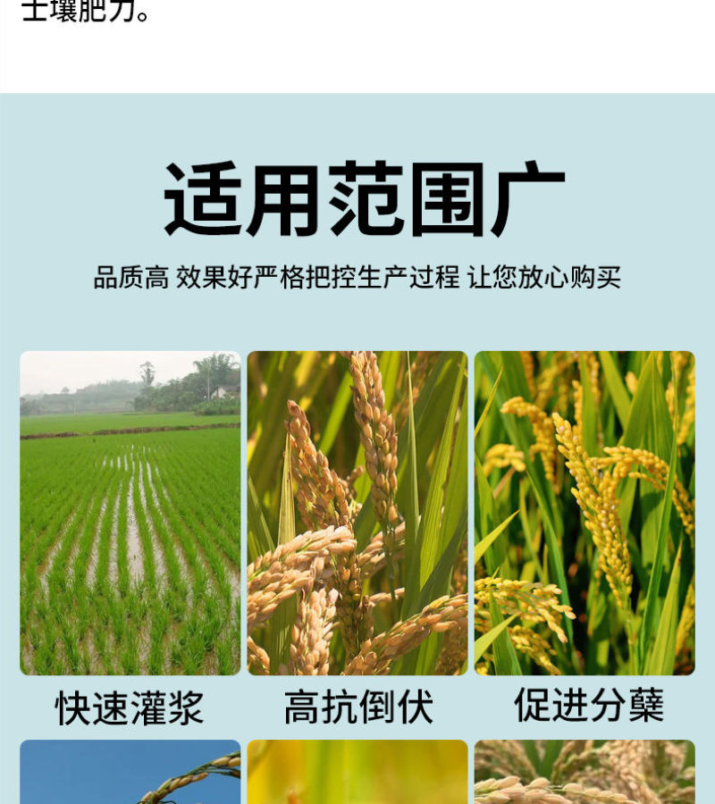 厂家直发水稻高产配方肥大量有货可视频看货