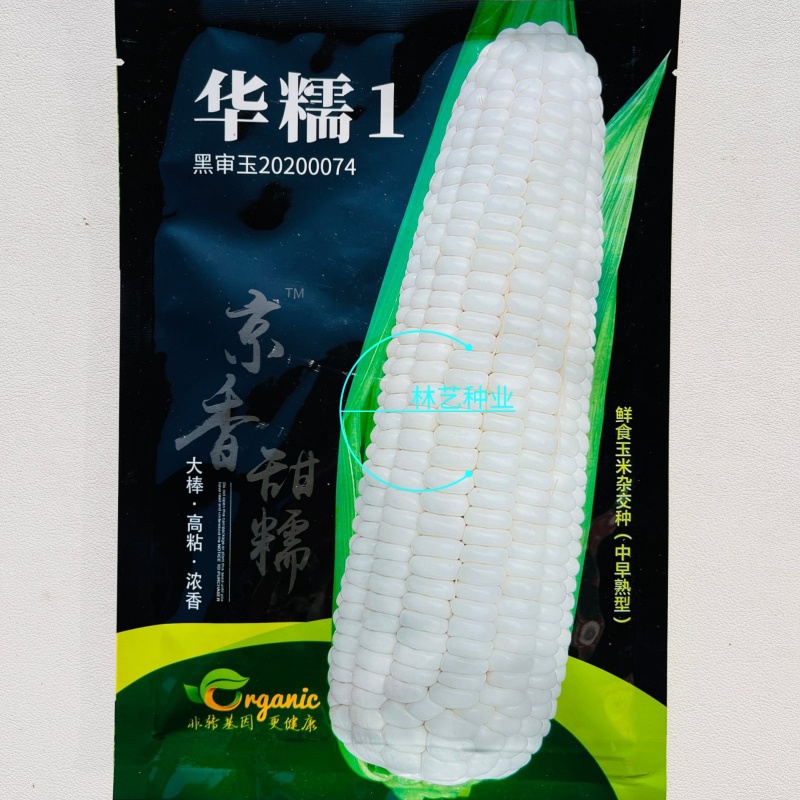 华糯1白糯玉米种子鲜食白甜糯抗病高产耐热南北方农家大田