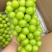 陕西葡萄精品阳光玫瑰大量上市产地直供代办代发