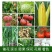 高氮高钾纯硫基果蔬优促花膨果优质高效