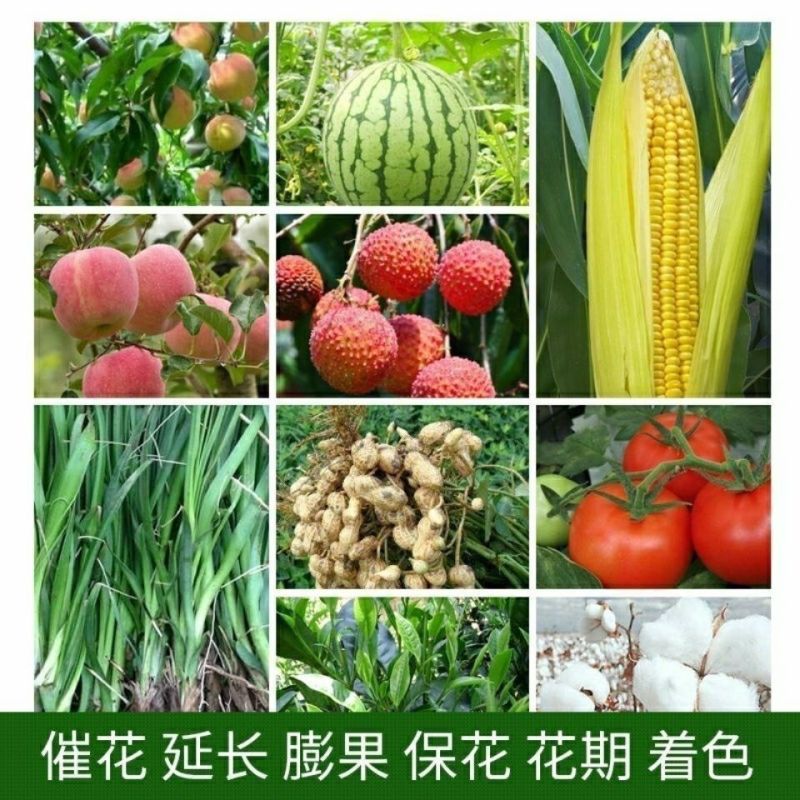 高氮高钾纯硫基果蔬优促花膨果优质高效